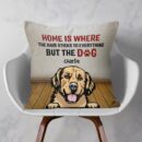 Home Is Where The Hair Sticks To Everything - Personalized Pillow - Birthday, Loving Gift For Cat & Dog Lover, Pet Owner, Fur Mom, Fur Dad