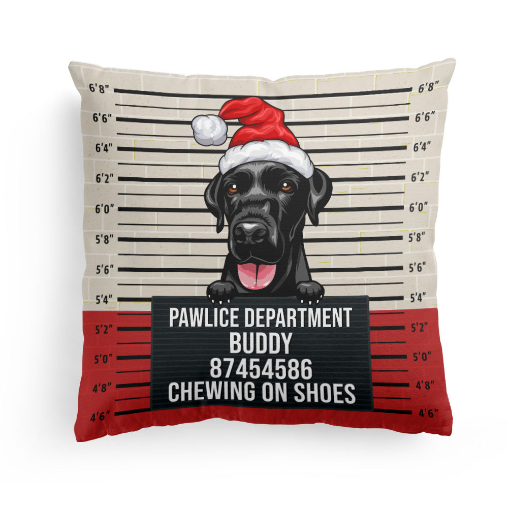 Pet Mugshot - Personalized Pillow - Birthday, Funny  Gift For Dog Mom, Dog Dad, Cat Mom, Cat Dad, Pet Owner
