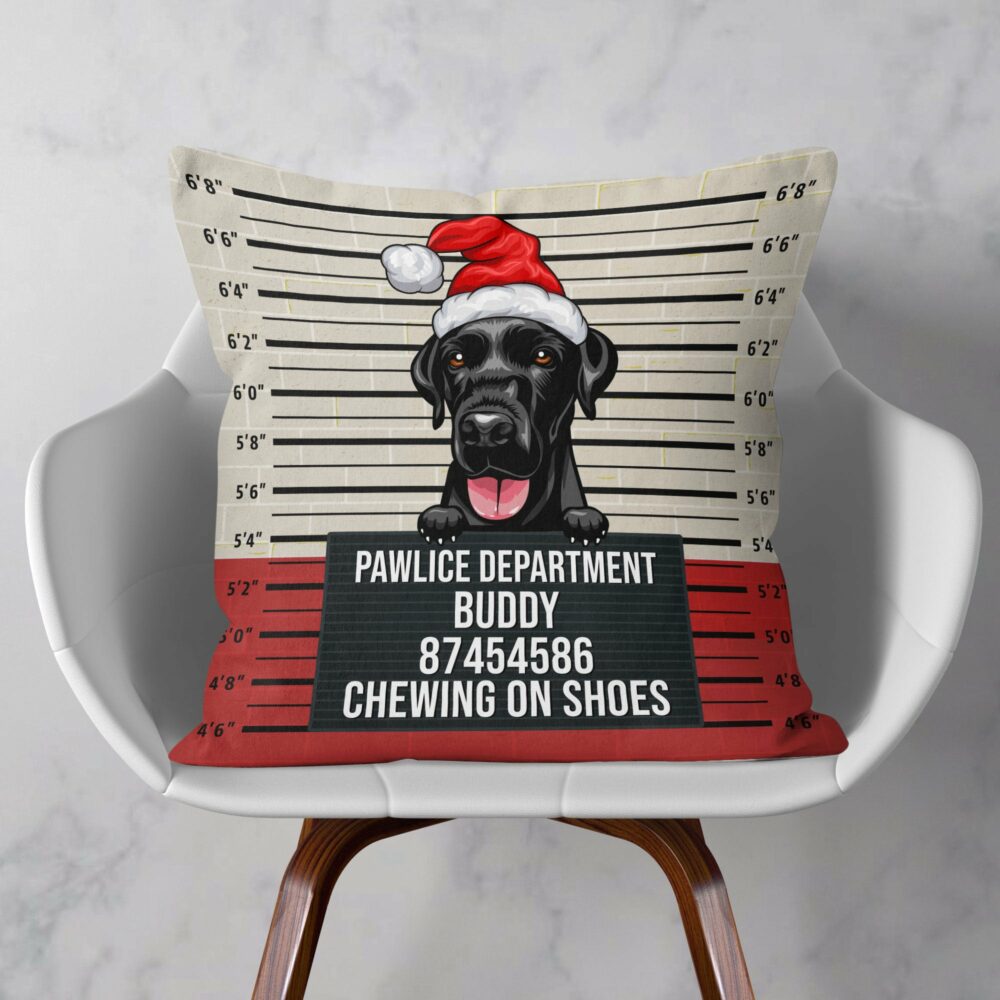 Pet Mugshot - Personalized Pillow - Birthday, Funny  Gift For Dog Mom, Dog Dad, Cat Mom, Cat Dad, Pet Owner - Image 2