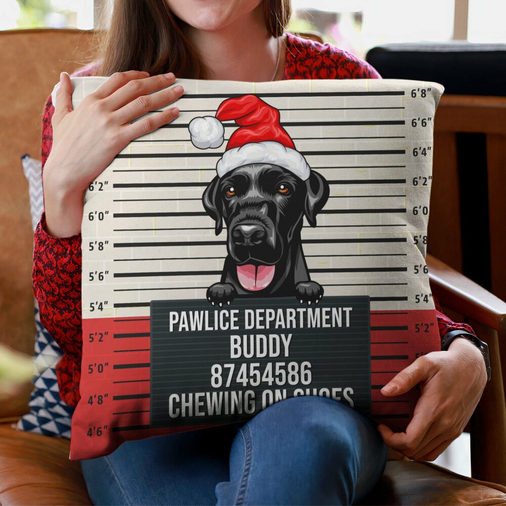 Pet Mugshot - Personalized Pillow - Birthday, Funny  Gift For Dog Mom, Dog Dad, Cat Mom, Cat Dad, Pet Owner - Image 3